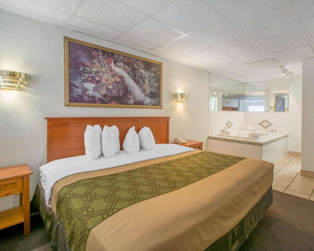 Econo Lodge Airport - Rj Stadium Тампа Номер фото